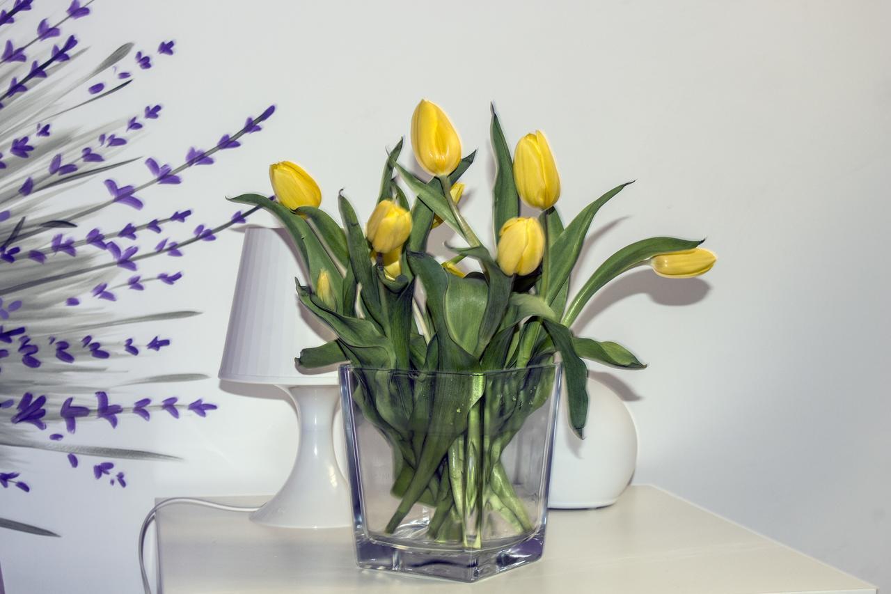Orvieto Aroma Rooms 2 Екстер'єр фото